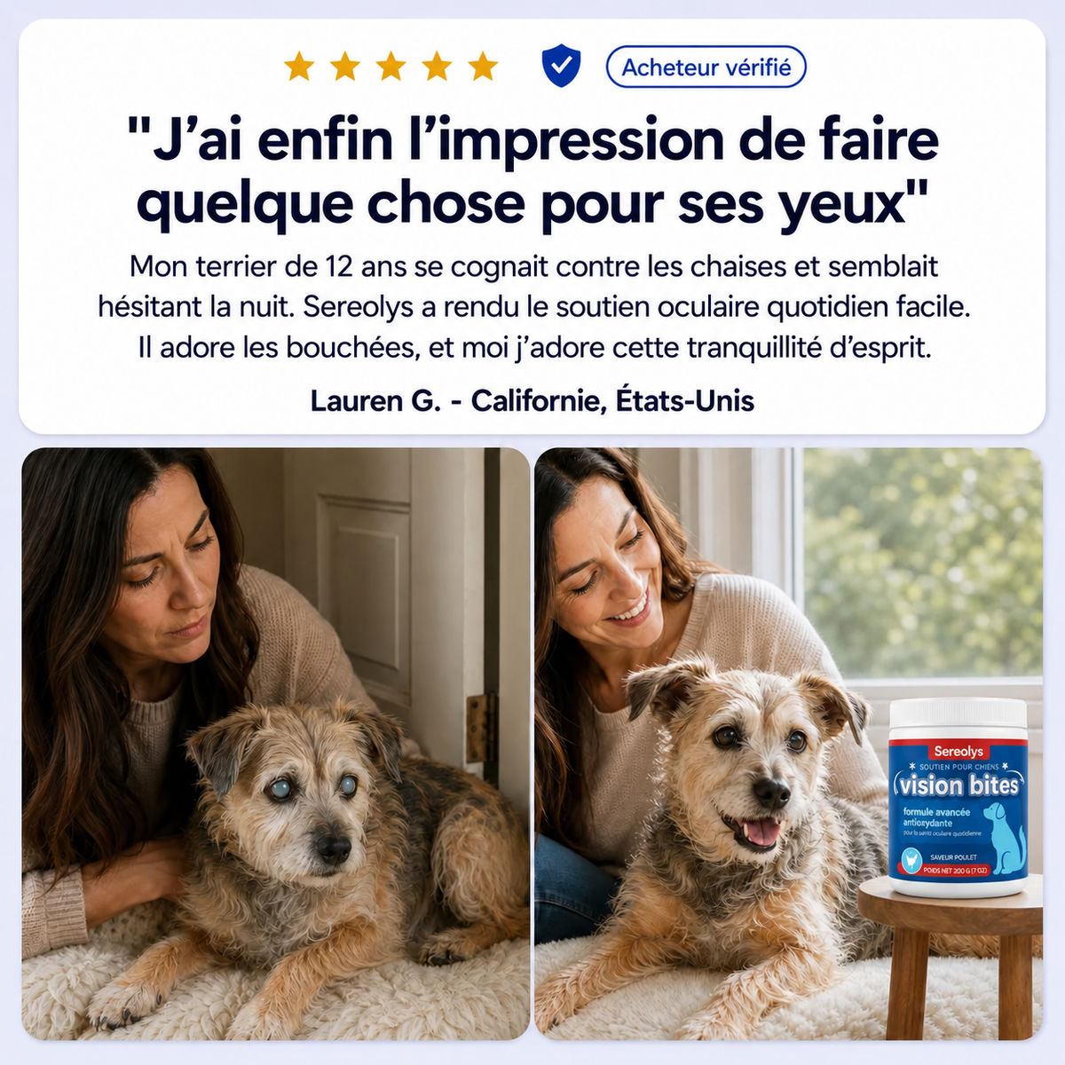 Présentation des Bouchées Vision Viliora