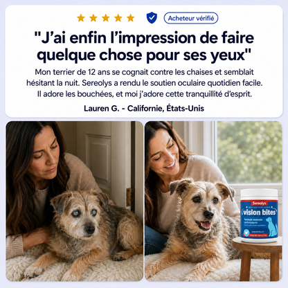 Présentation des Bouchées Vision Viliora