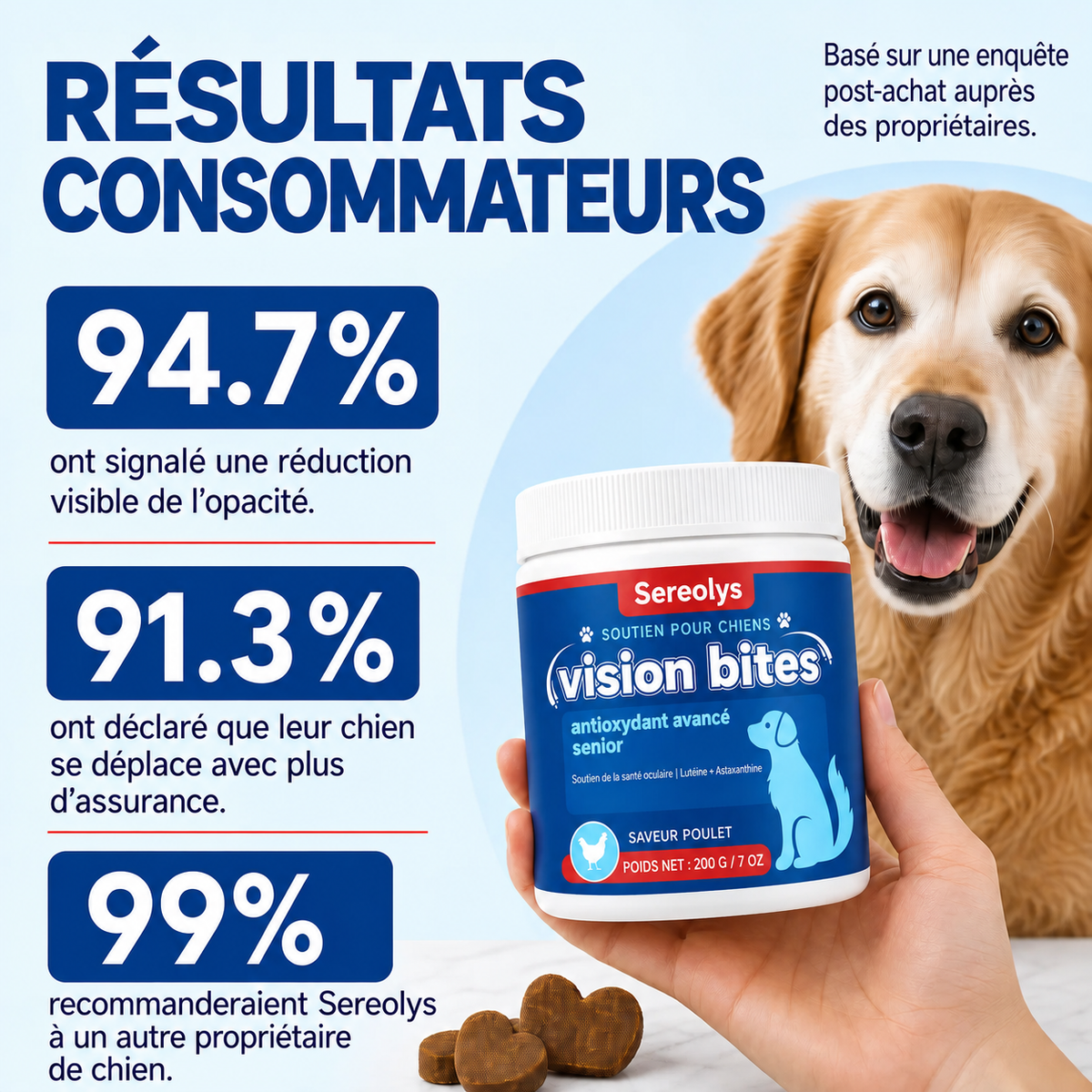 Présentation des Bouchées Vision Viliora