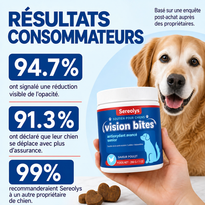 Présentation des Bouchées Vision Viliora
