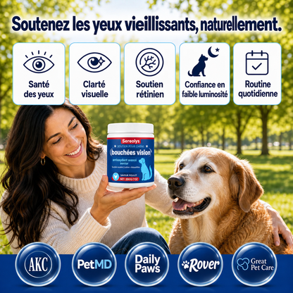 Présentation des Bouchées Vision Viliora