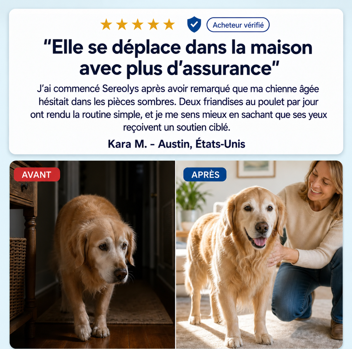 Présentation des Bouchées Vision Viliora