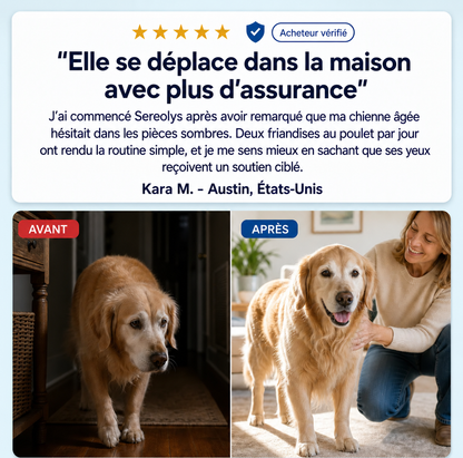 Présentation des Bouchées Vision Viliora